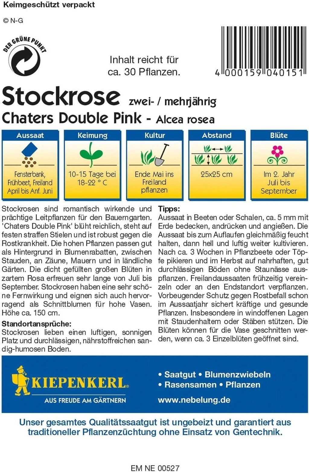Stockrose "Chaters Double Pink" – Bild 2