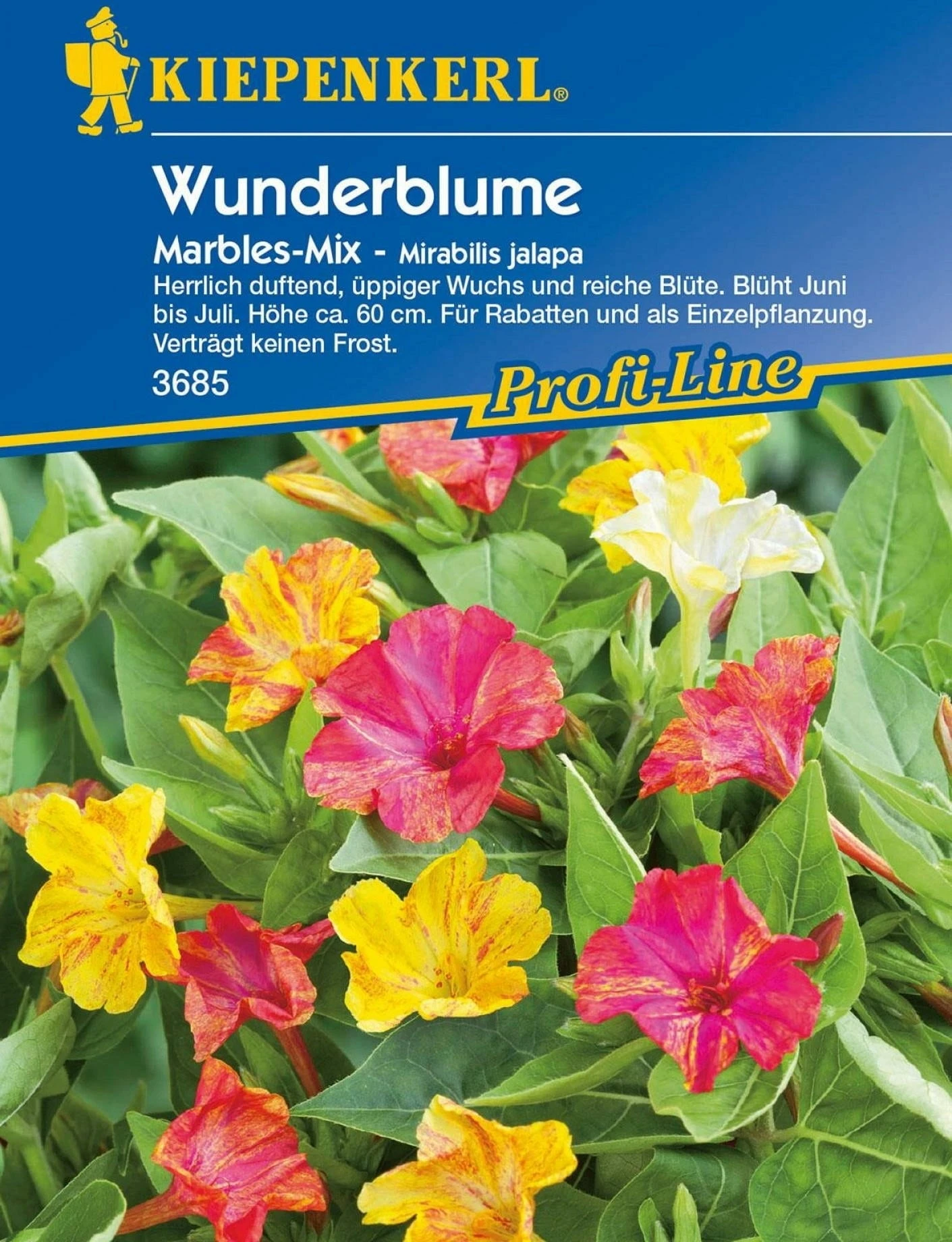 Wunderblume "Marbles-Mix"