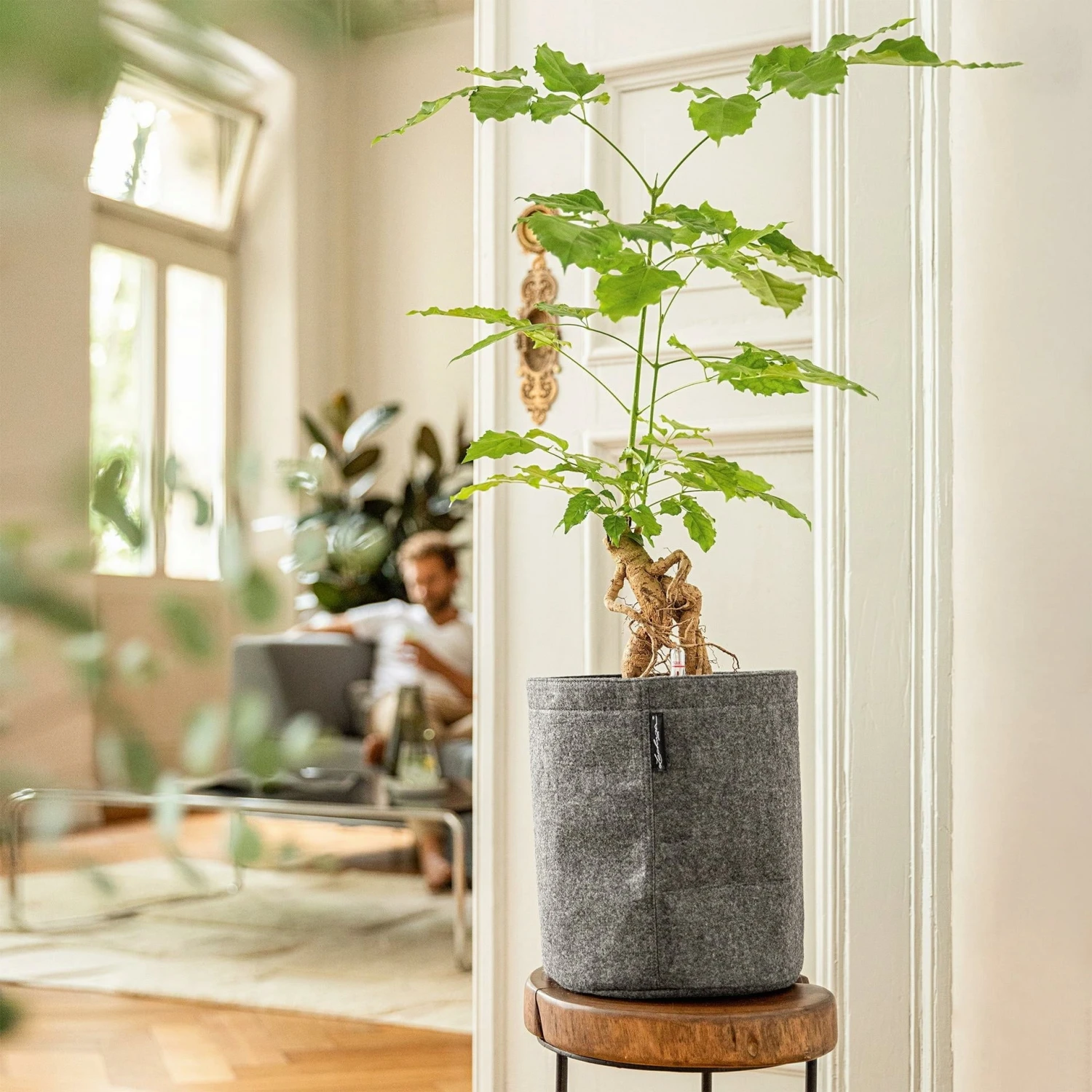 LECHUZA Pflanzgefäß TRENDCOVER "Filz" 23, Dark Grey – Bild 3