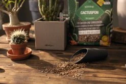 LECHUZA Substrat Cactus-PON, 6 Liter