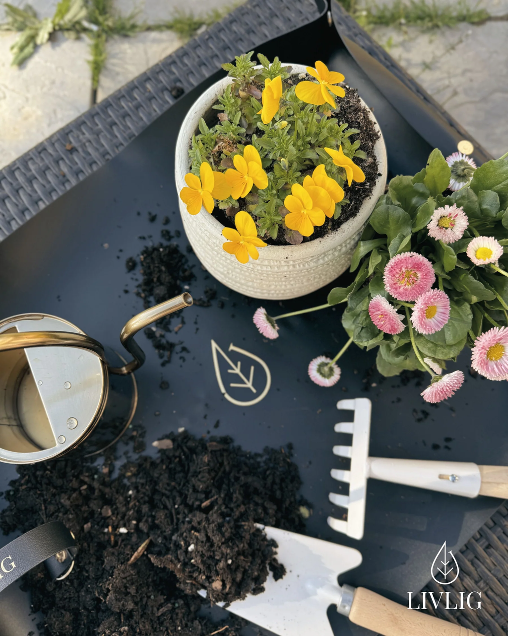 Pflanzmatte 50 X 75 Cm, Anthrazit – Bild 2