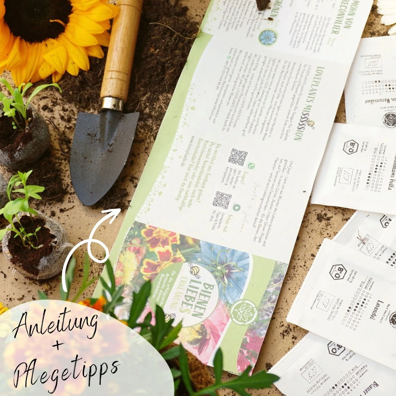 Bio Bienen Blumensamen Set – Bild 3
