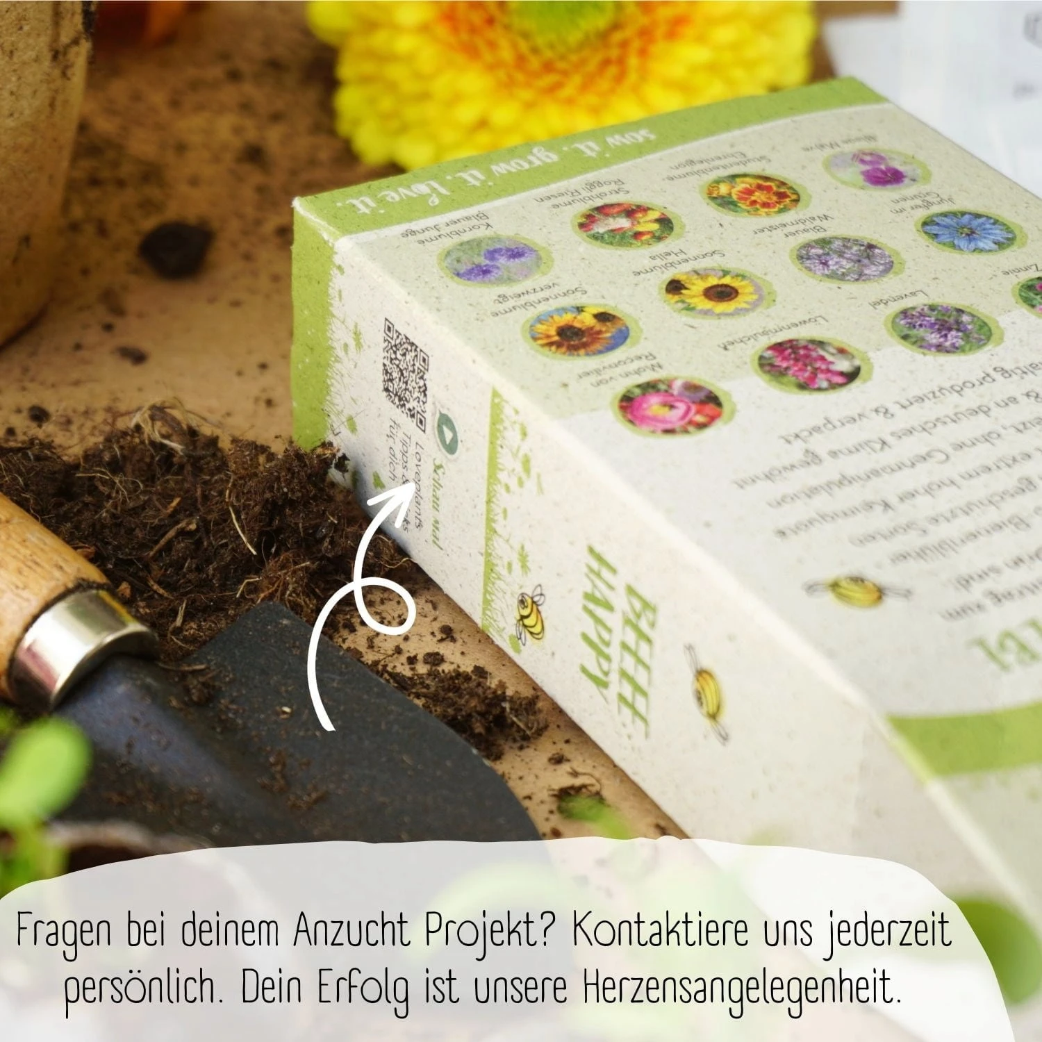 Bio Bienen Blumensamen Set – Bild 5