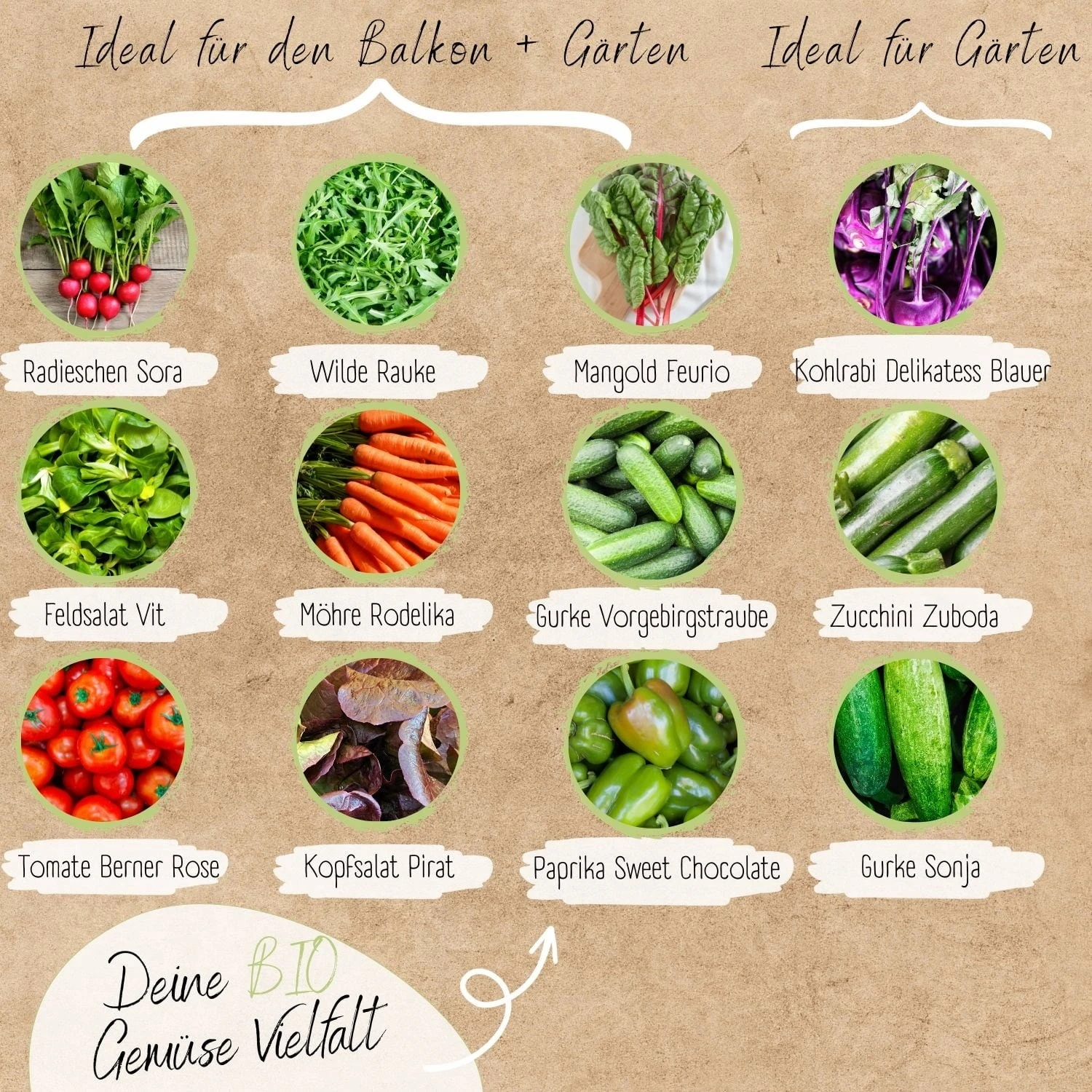 Bio Gemüsesamen Set – Bild 4