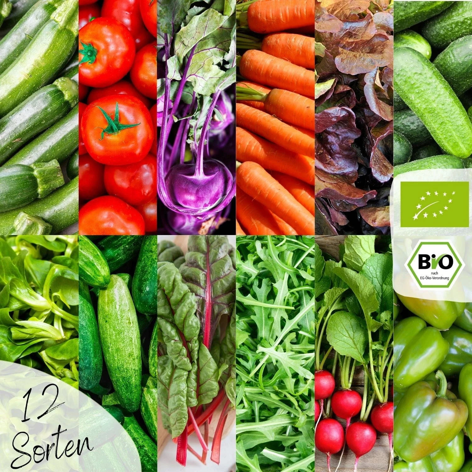 Bio Gemüsesamen Set – Bild 3