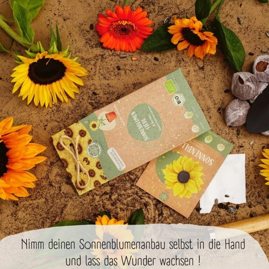 Bio Sonnenblumen Samen Set – Bild 6