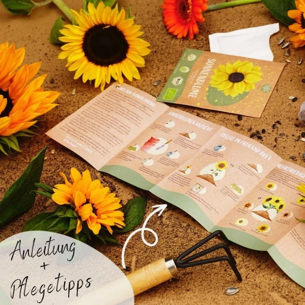 Bio Sonnenblumen Samen Set – Bild 5