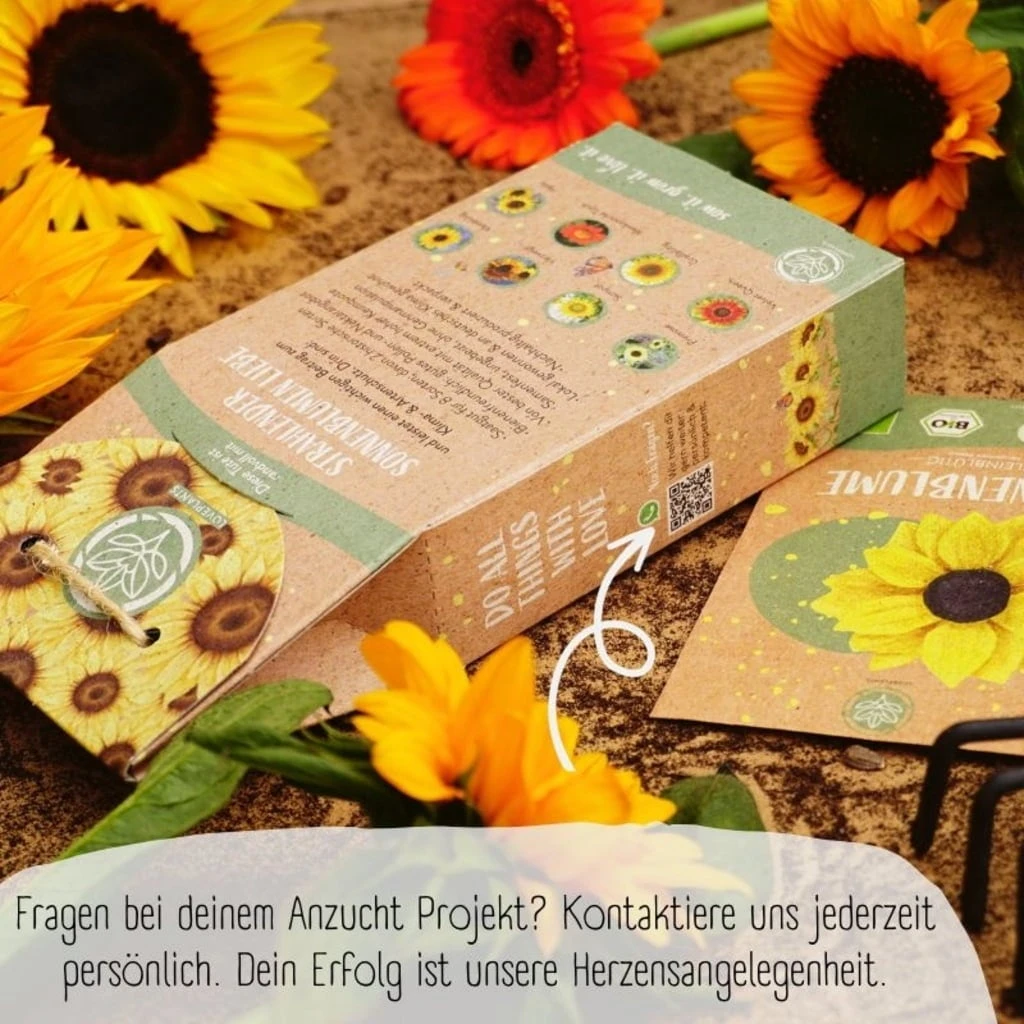 Bio Sonnenblumen Samen Set – Bild 7
