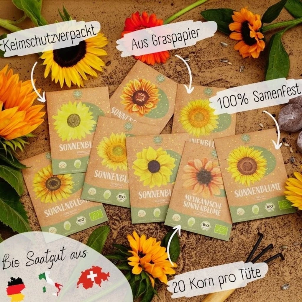 Bio Sonnenblumen Samen Set – Bild 2