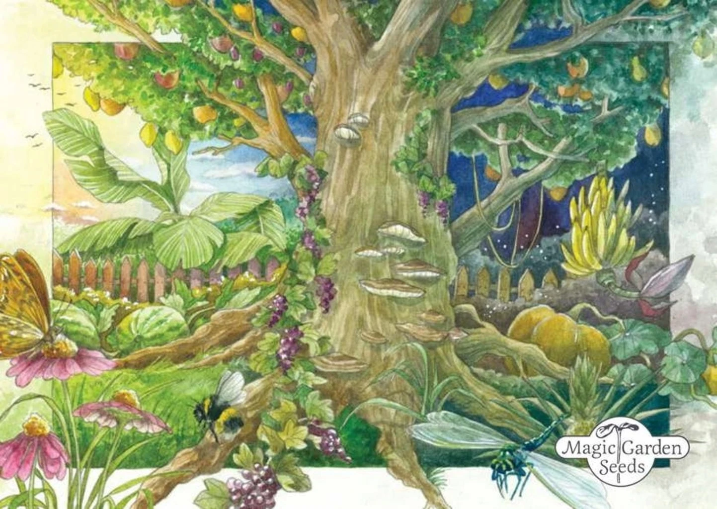 Bio Alte Historische Gemüsesorten - Samenset, Samenset – Bild 6