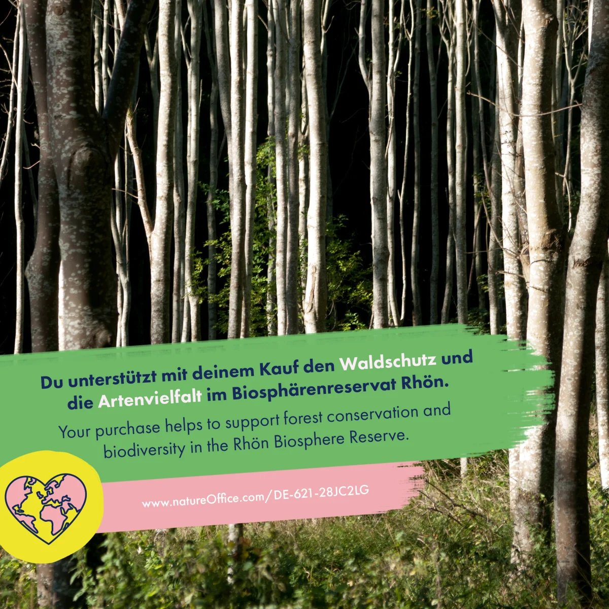 Gemüsesamen - Alte Sorten – Bild 7