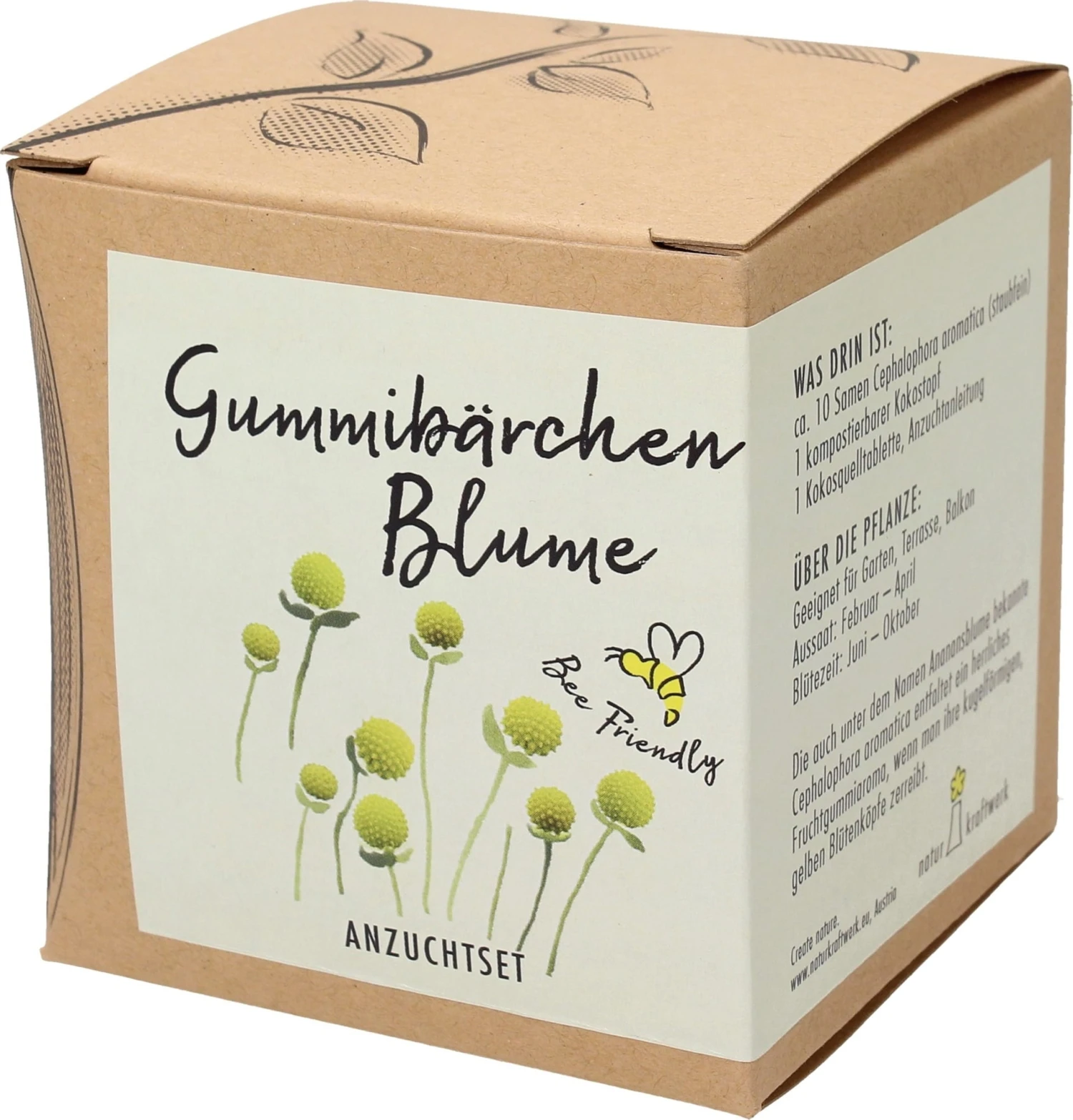 Anzuchtset "GummibĂ€rchenblume" â Bild 5