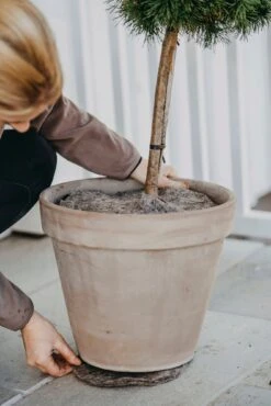 Schutzmatte Aus Wolle, Ø21 Cm (2 Stück)
