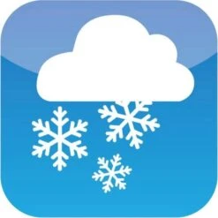 Winterschutzmatte Schafwolle 100x150 Cm, Braun