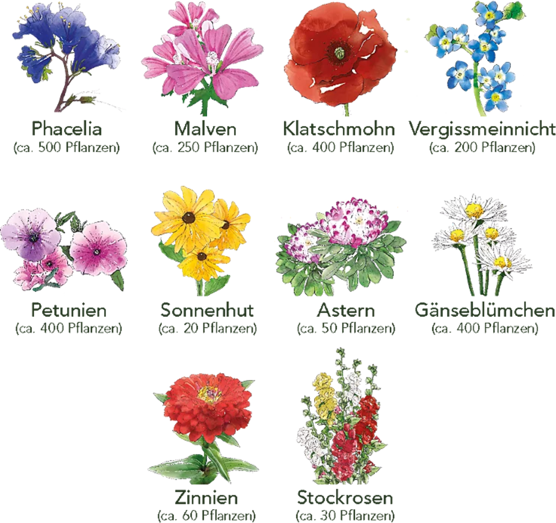Blumen Beet 10er Set – Bild 5