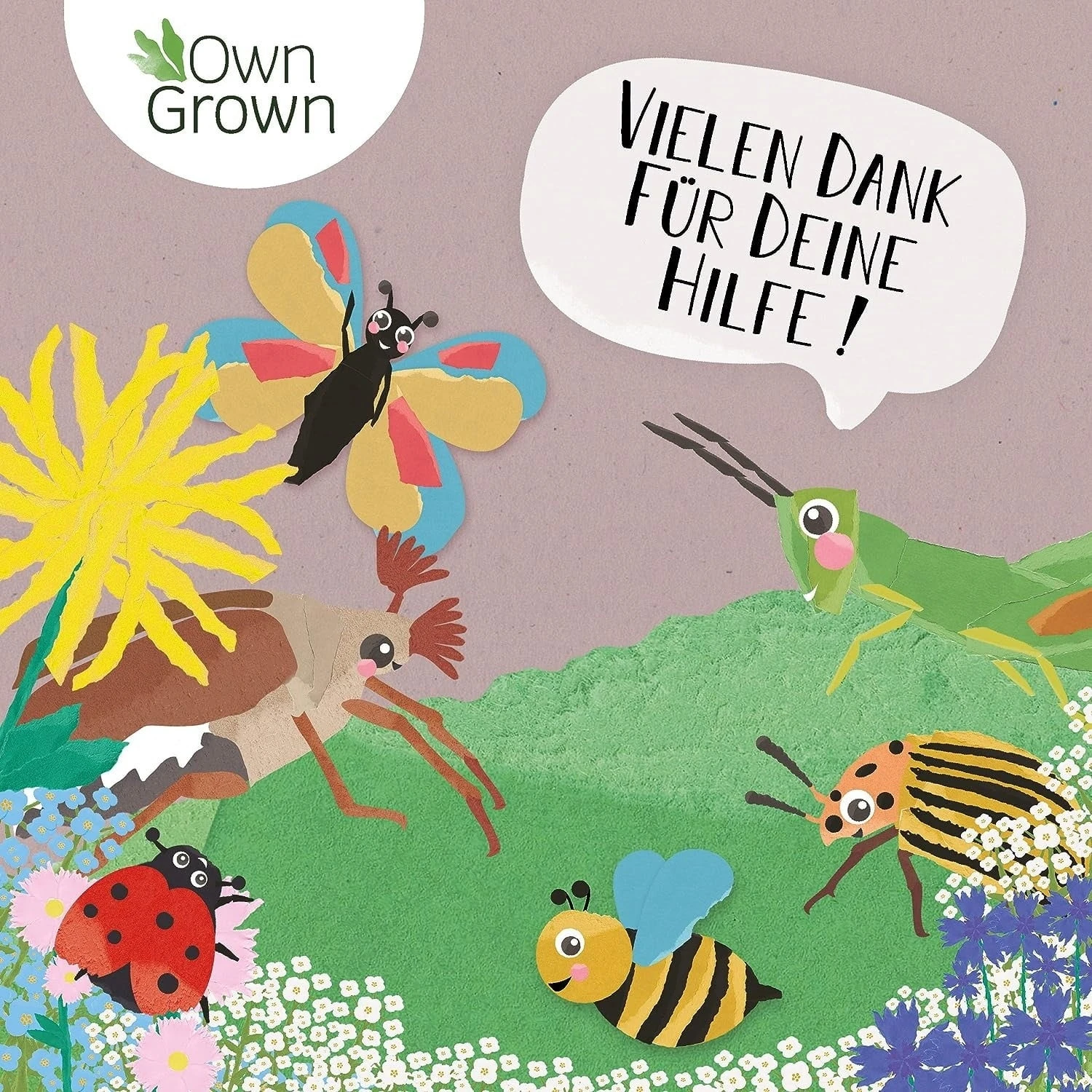 Blumenmischung "Insekteninsel" – Bild 4