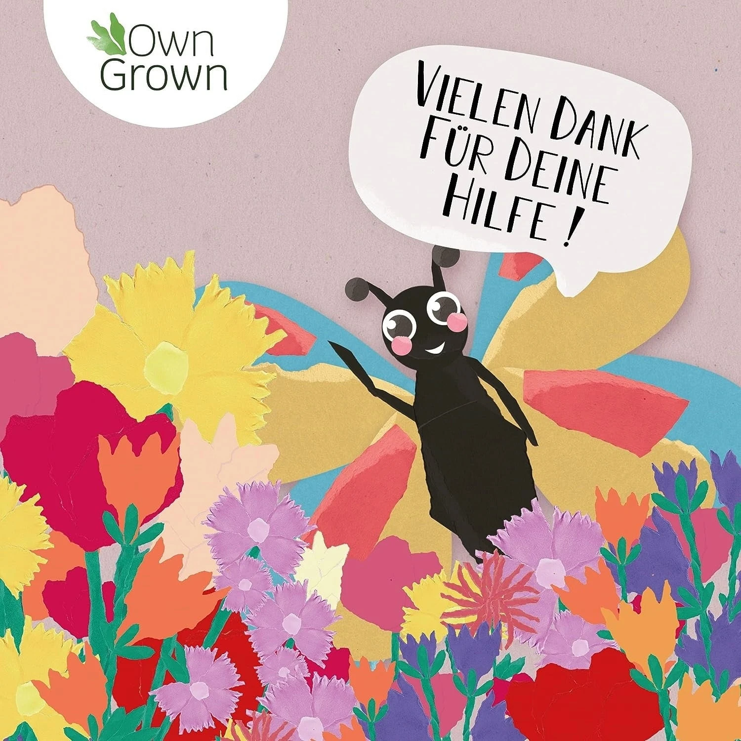 Blumenmischung "Schmetterlingstreff" – Bild 3