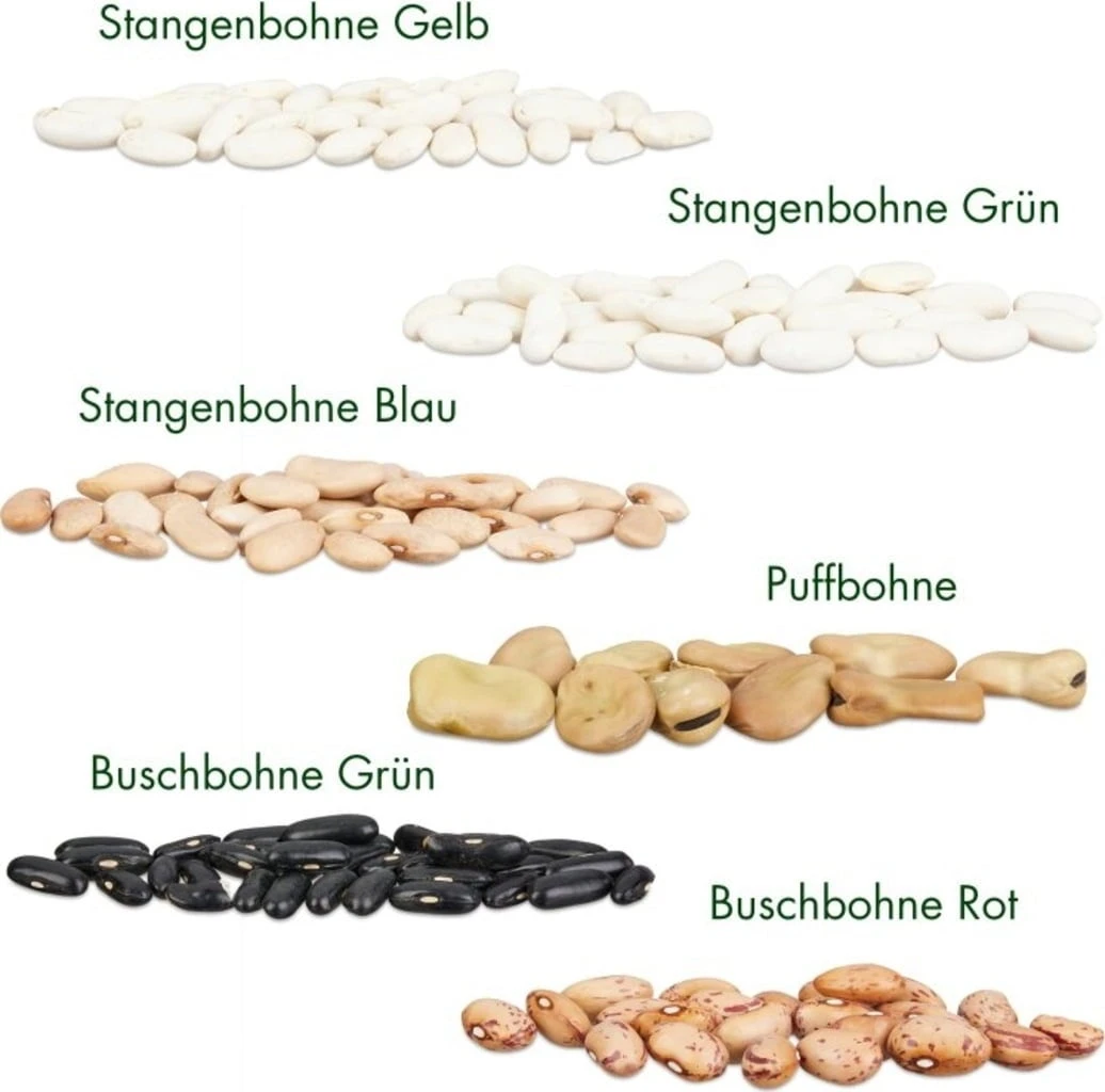 Bohnen-Samen 6er Set – Bild 2