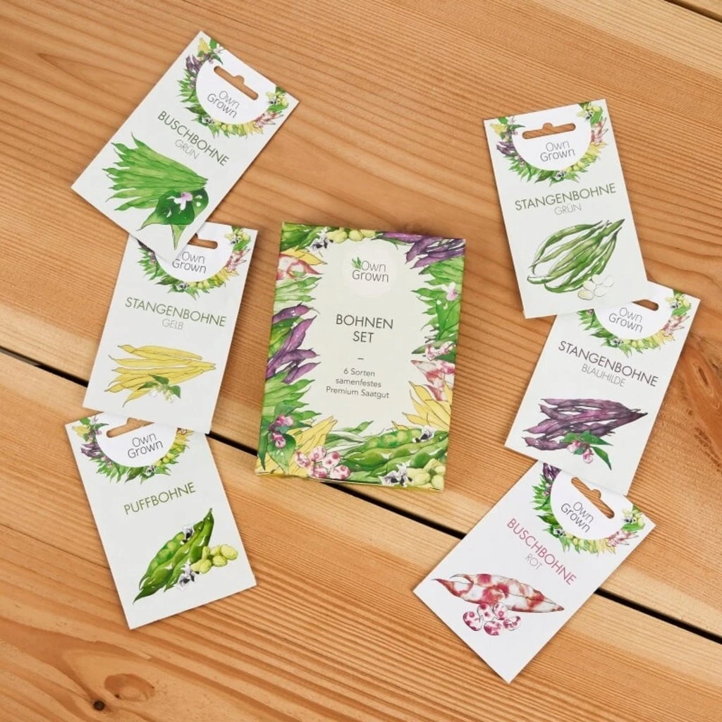 Bohnen-Samen 6er Set – Bild 5