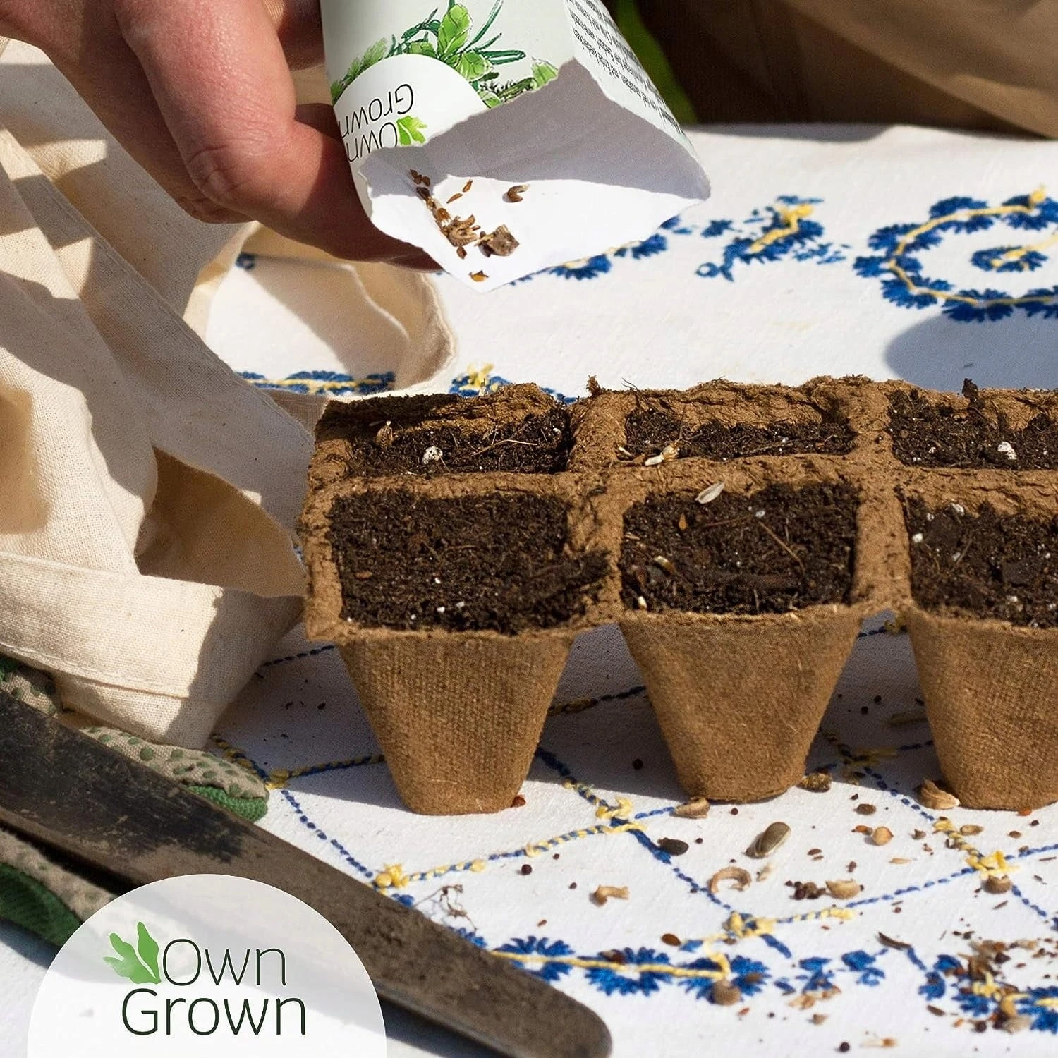 Saatgut "Balkonerdbeere" – Bild 3