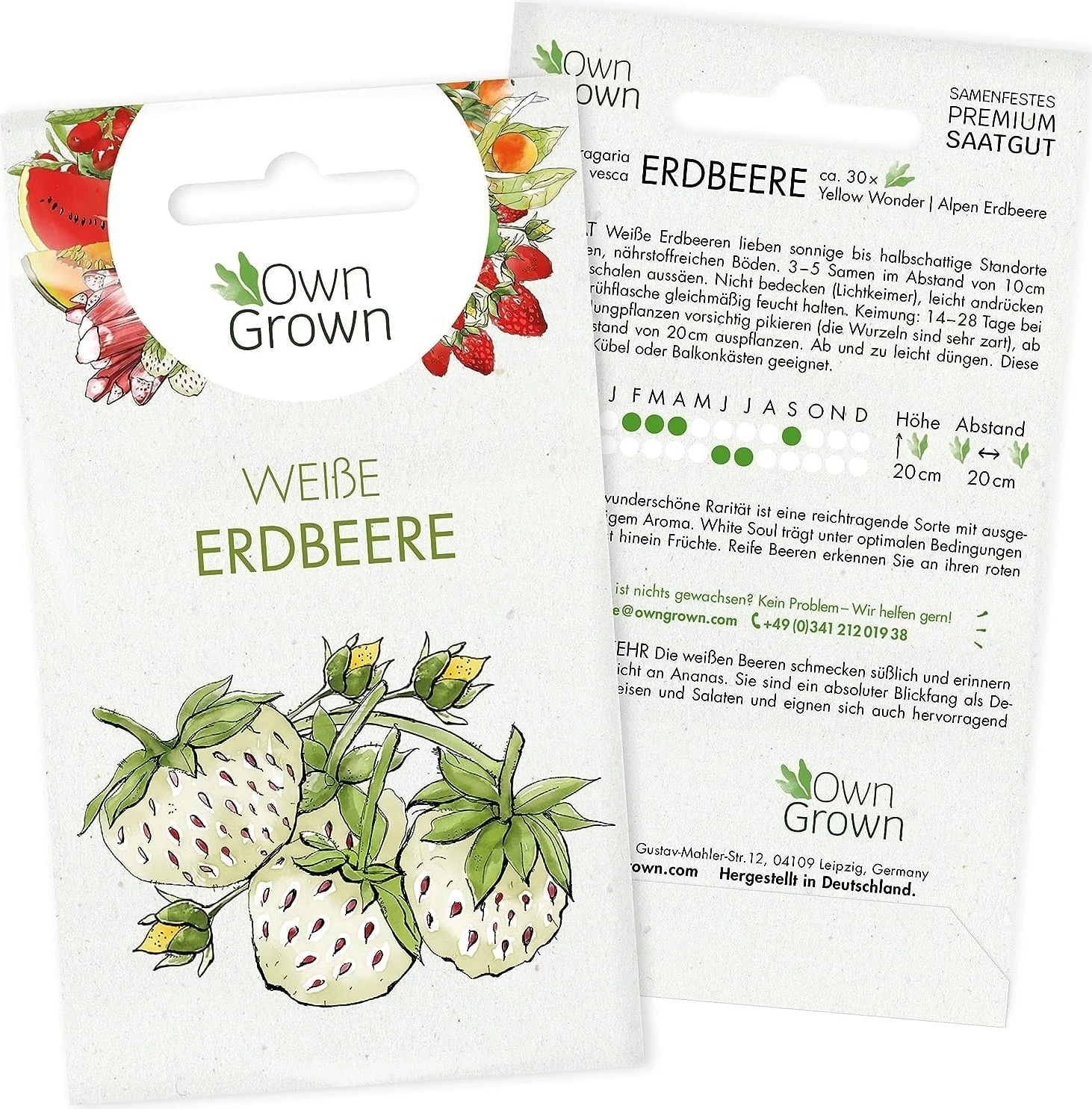 Saatgut "Weiße Erdbeere"