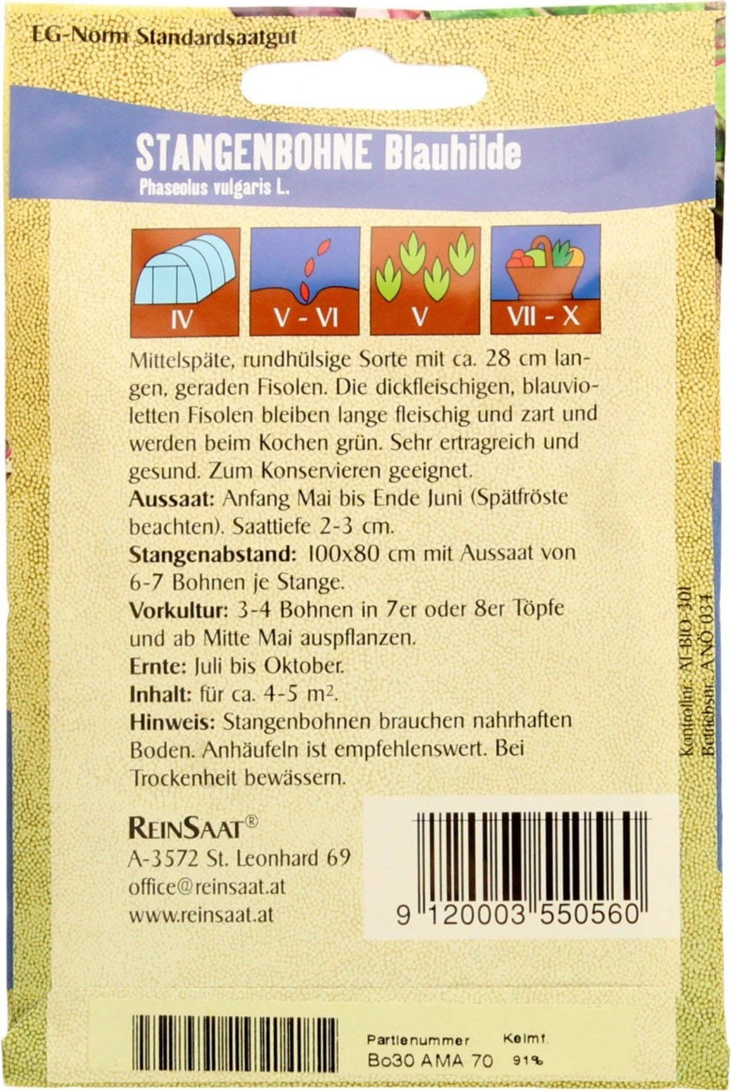 Blaue Stangenbohne "Blauhilde"