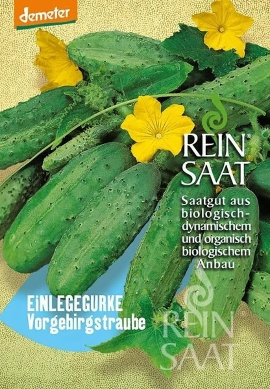 Einlegegurken "Vorgebirgstraube" – Bild 2