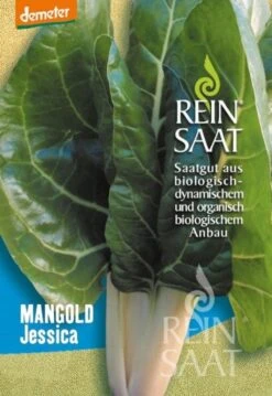 Mangold "Jessica"