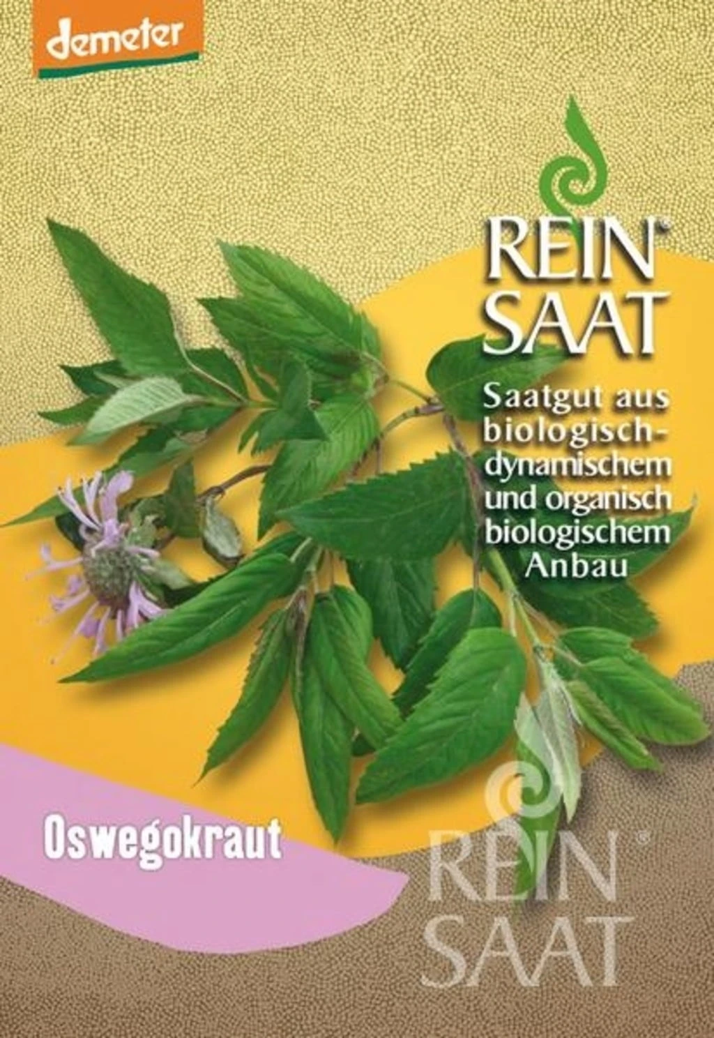 Oswegokraut – Bild 3