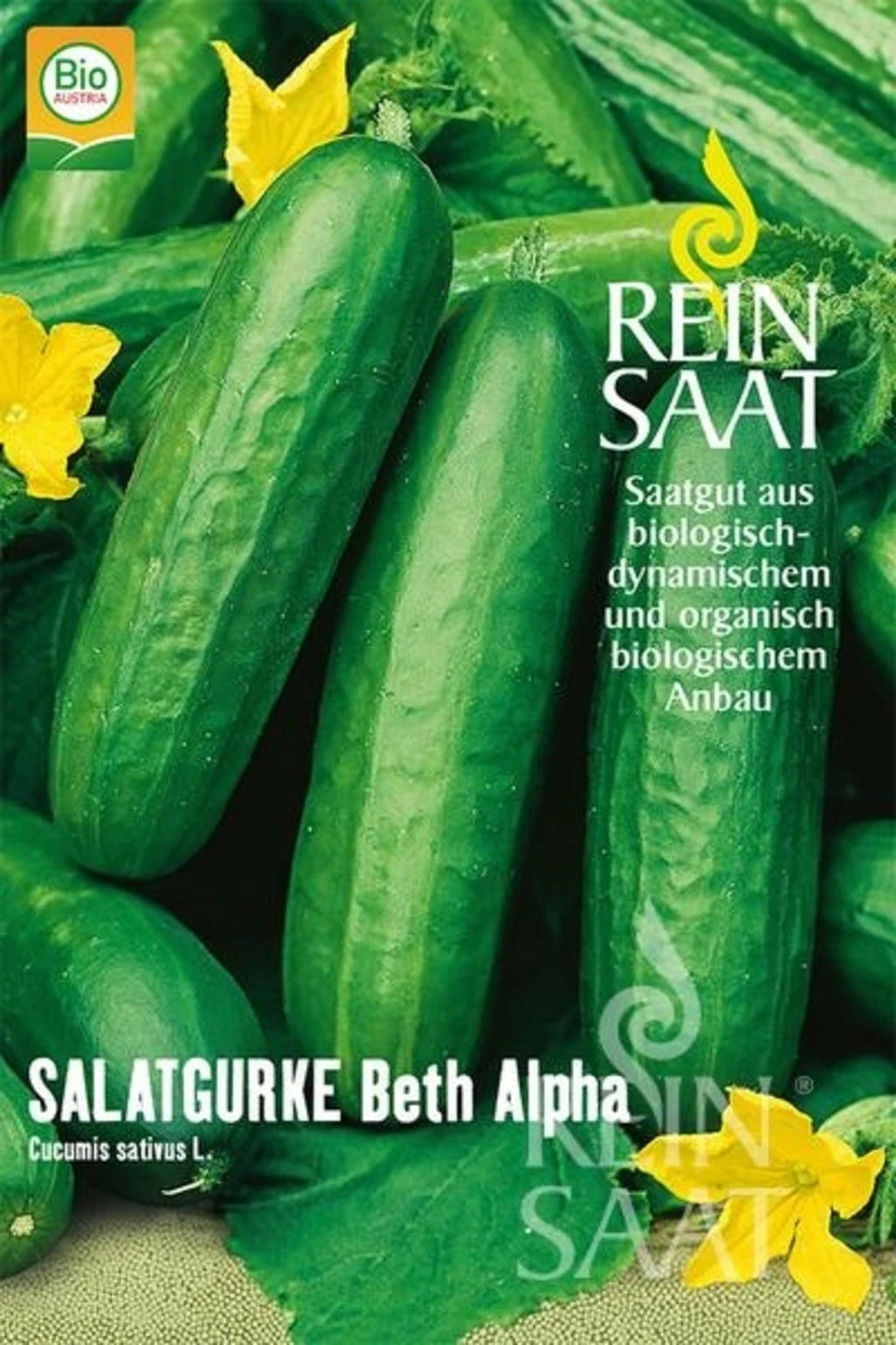 Snackgurke "Beth Alpha" – Bild 2