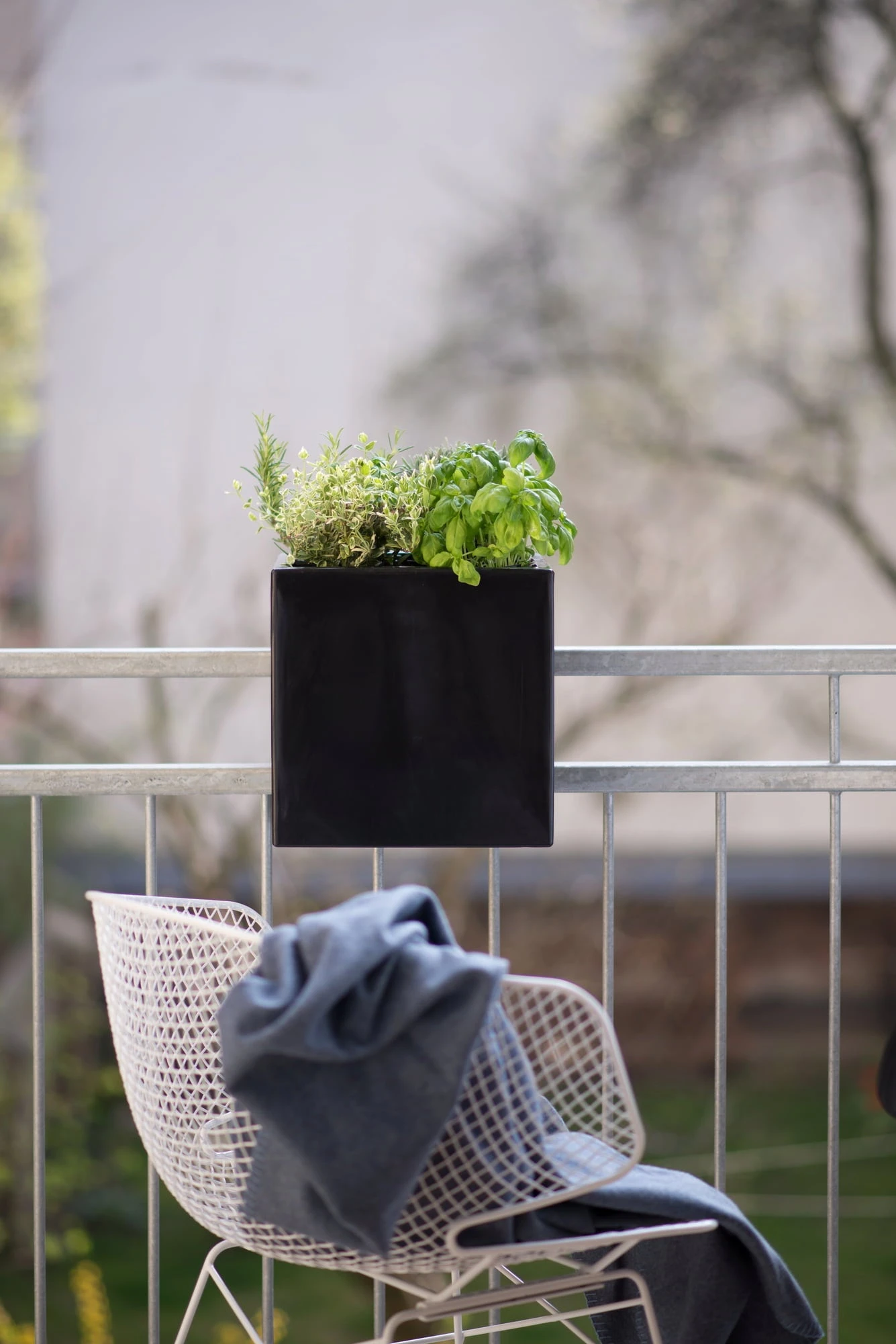 PflanzbehĂ€lter "Steckling Cube", Graphit (anthrazit) â Bild 2