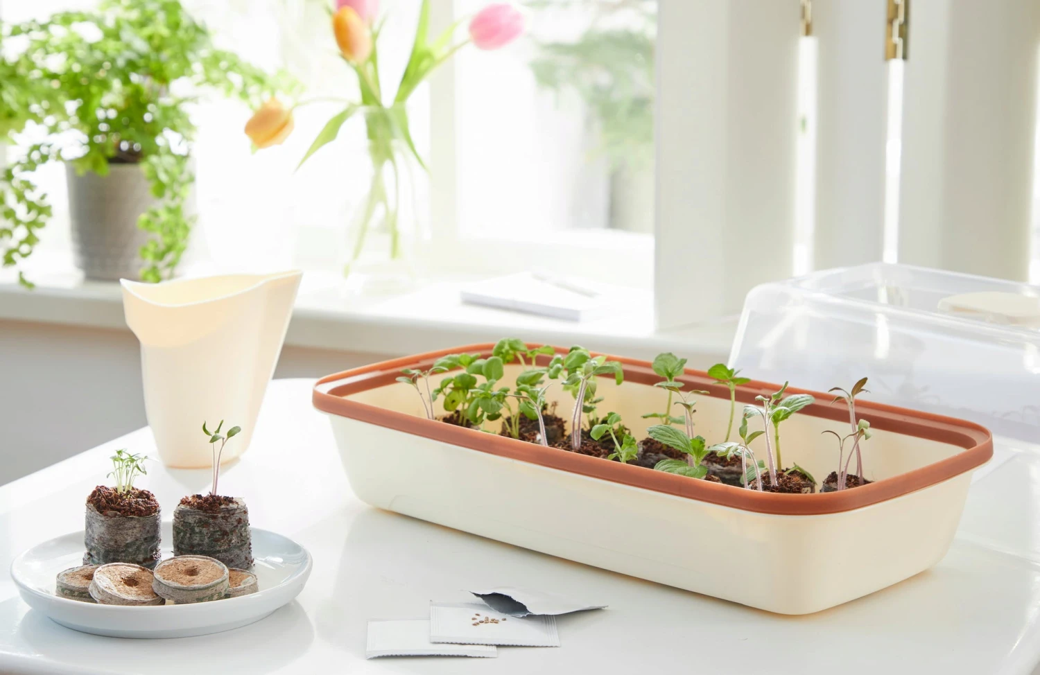 Anzuchtschale M BOQUBE Creme-Kupferbraun – Bild 2