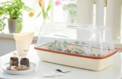 Anzuchtschale M BOQUBE Creme-Kupferbraun