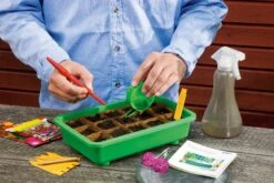 Classic Profi Anzucht-Set