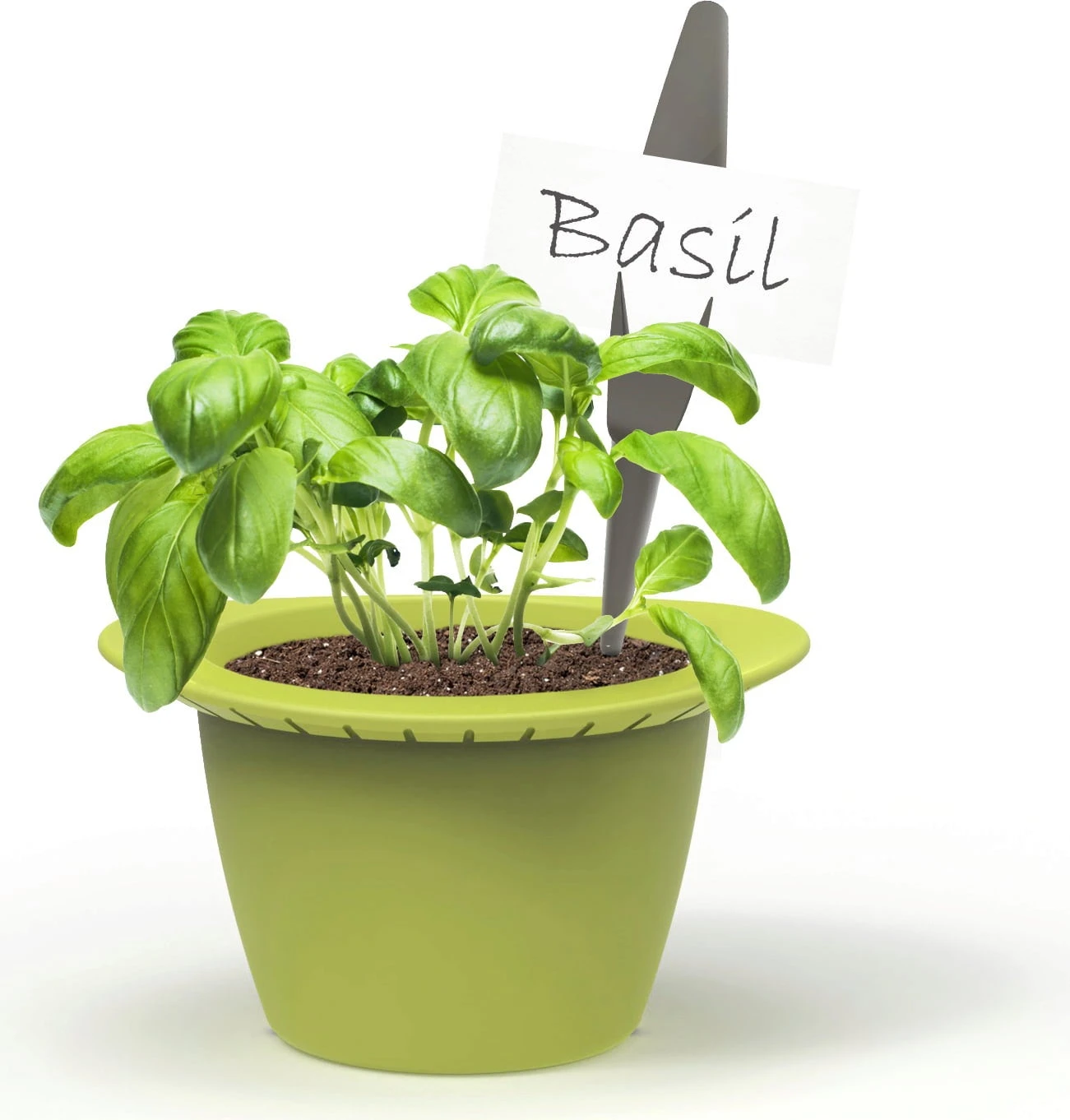 Mini – Anzuchttöpfe – Bild 2