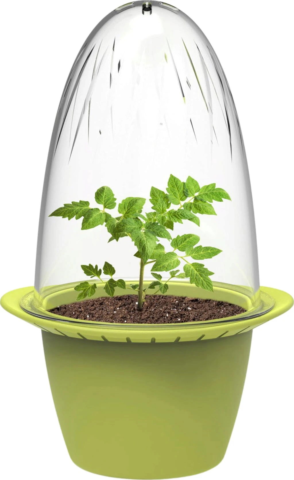 Mini – Anzuchttöpfe