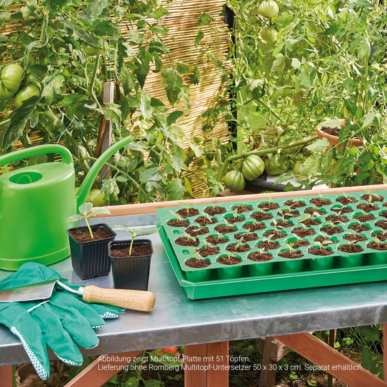 Multitopf-Platte 38 Töpfe - 50x30 Cm – Bild 2