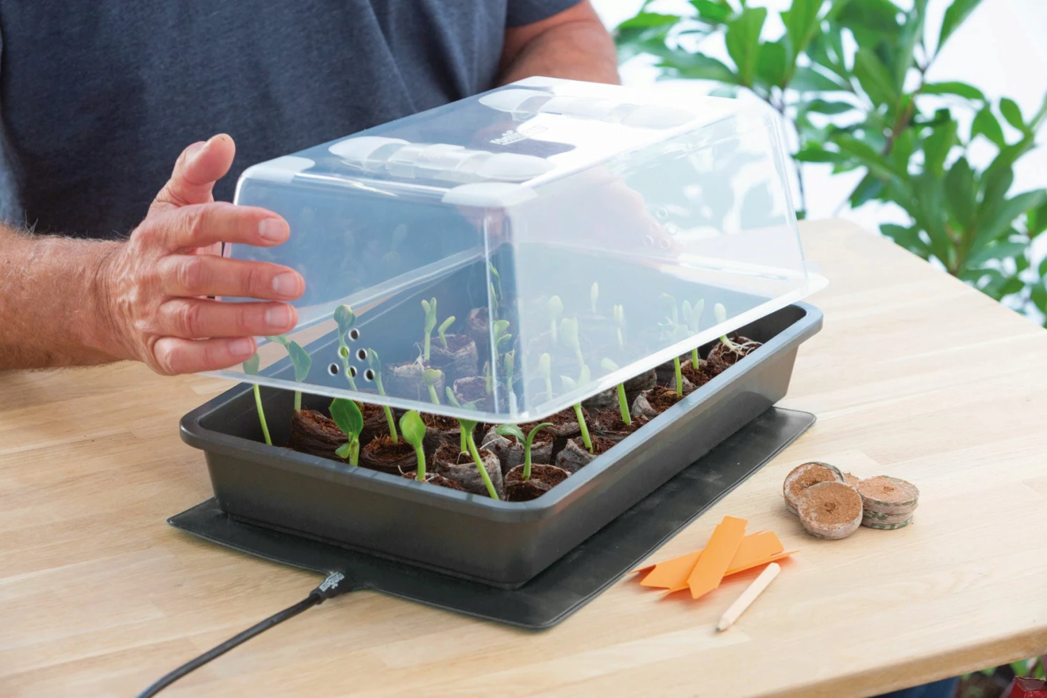 Power Gewächshaus "Thermo M" – Bild 2