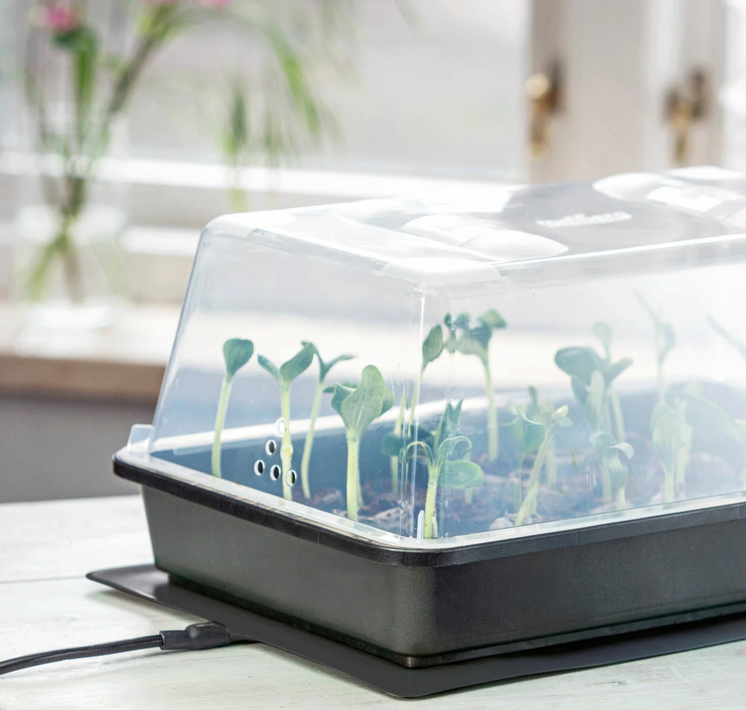 Power Gewächshaus "Thermo M" – Bild 3