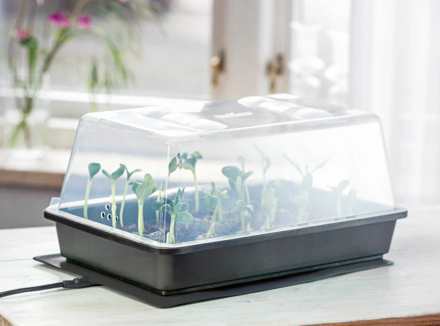 Power Gewächshaus "Thermo M" – Bild 4