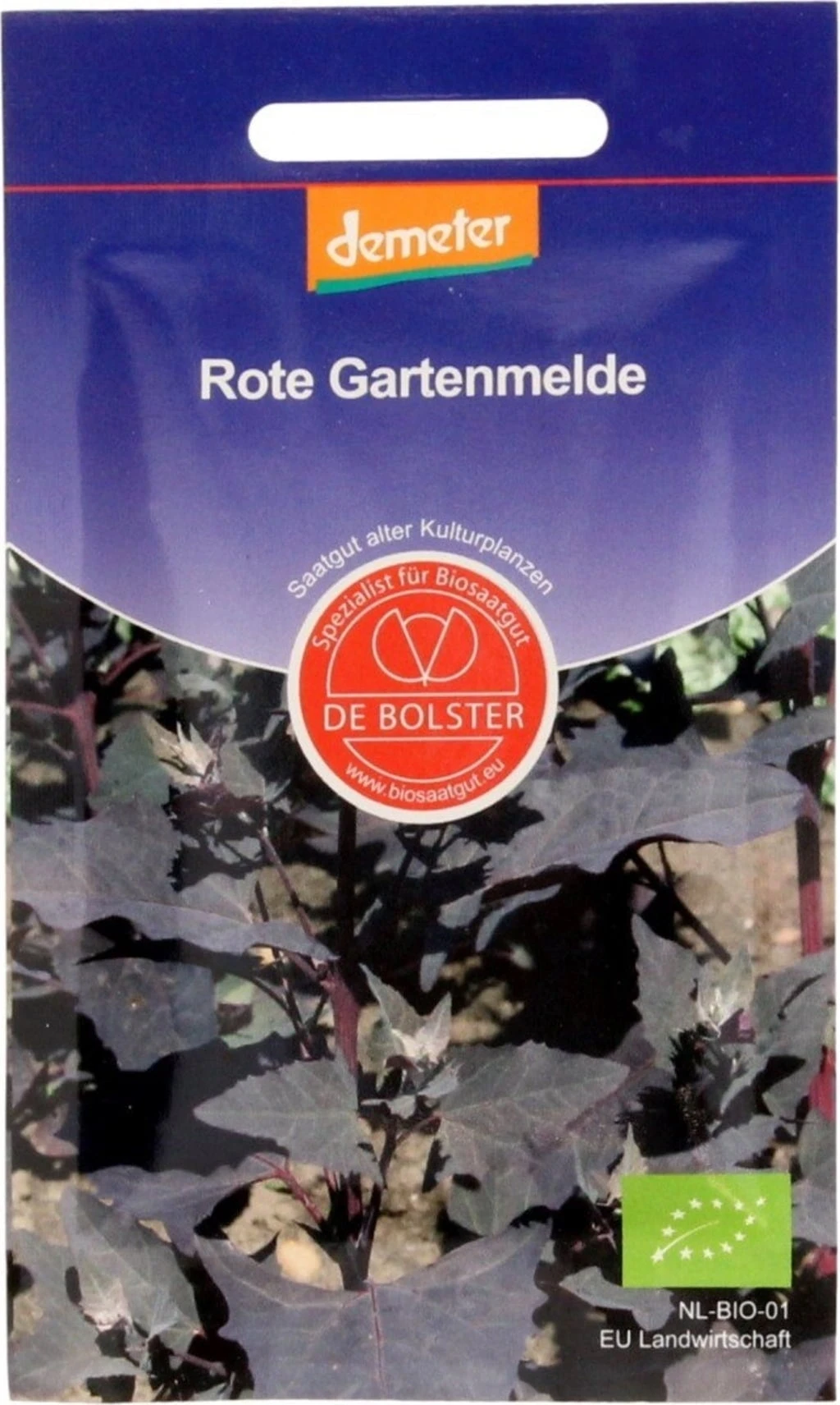 Rote Gartenmelde, 5 G – Bild 3