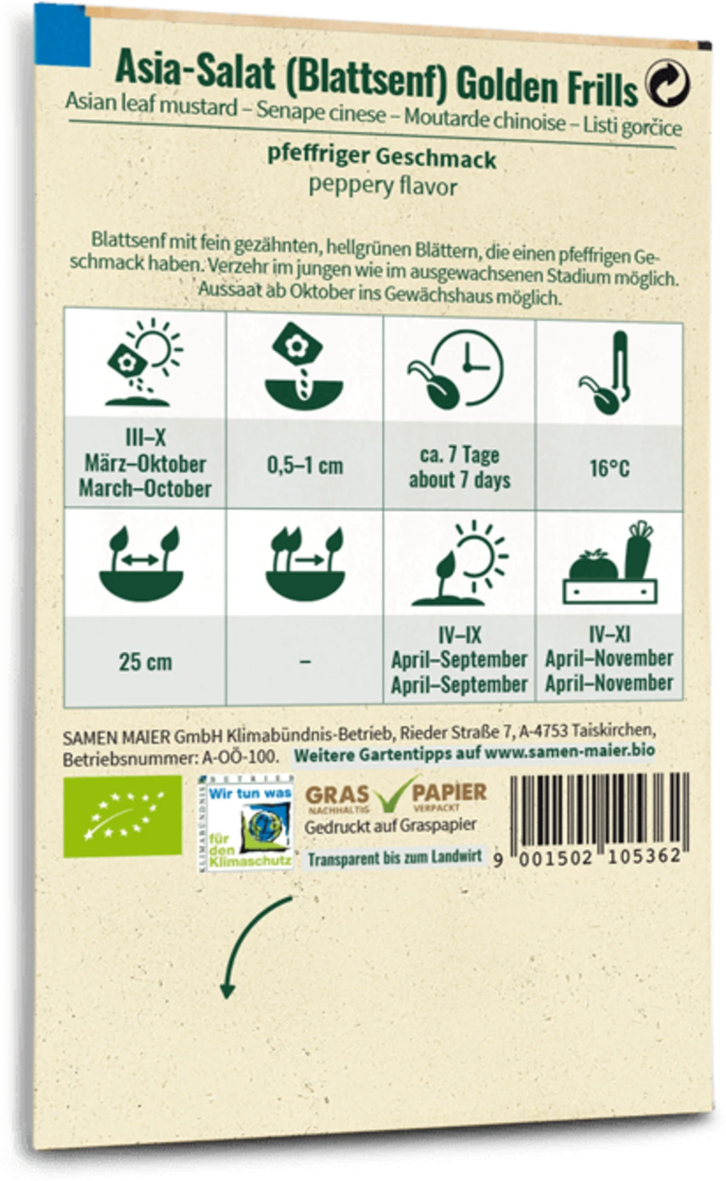 Bio Fadenlose Stangenbohne "Blauhilde" – Bild 2