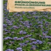 Bio Phacelia "Bienenfreund"