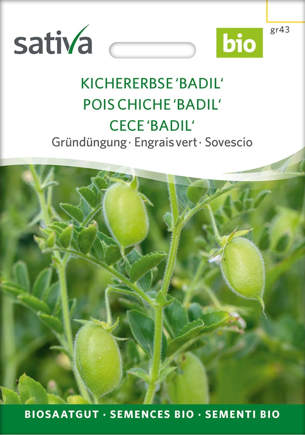 Bio Gründüngung "Kichererbse Badil" – Bild 2