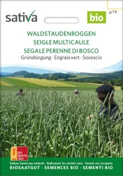 Bio Gründüngung "Waldstauden Roggen"