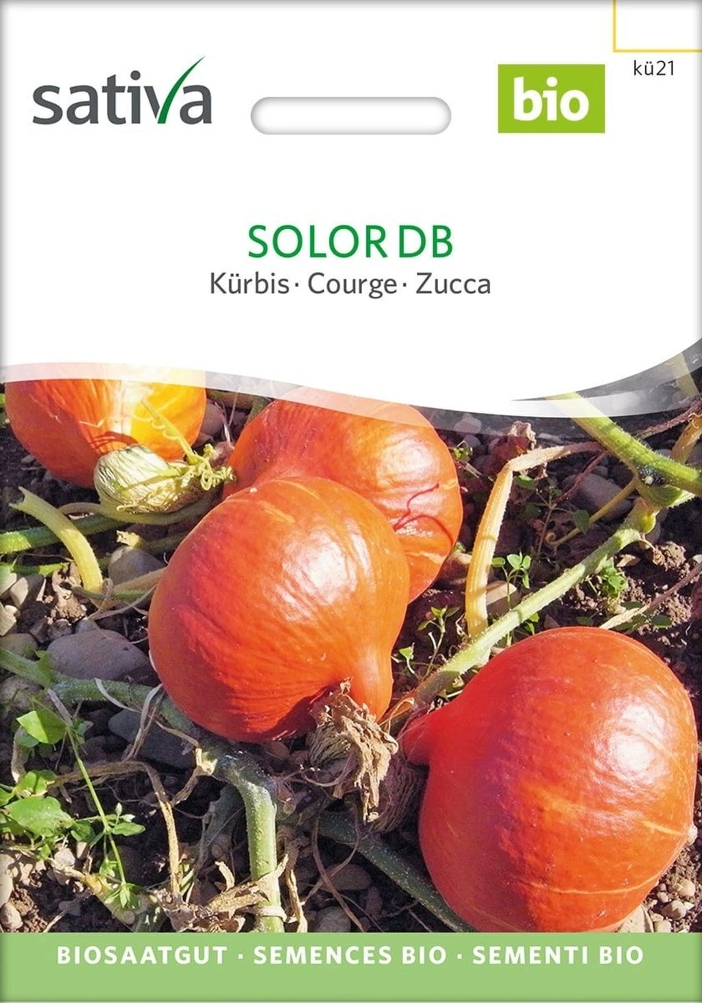 Bio Kürbis "Solor Db"