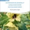 Bio Schwarzes Bilsenkraut