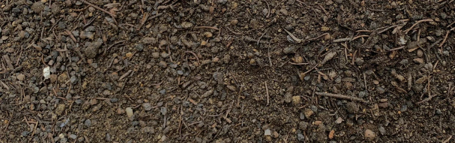 Bio Moorbeeterde, 20 Liter – Bild 2