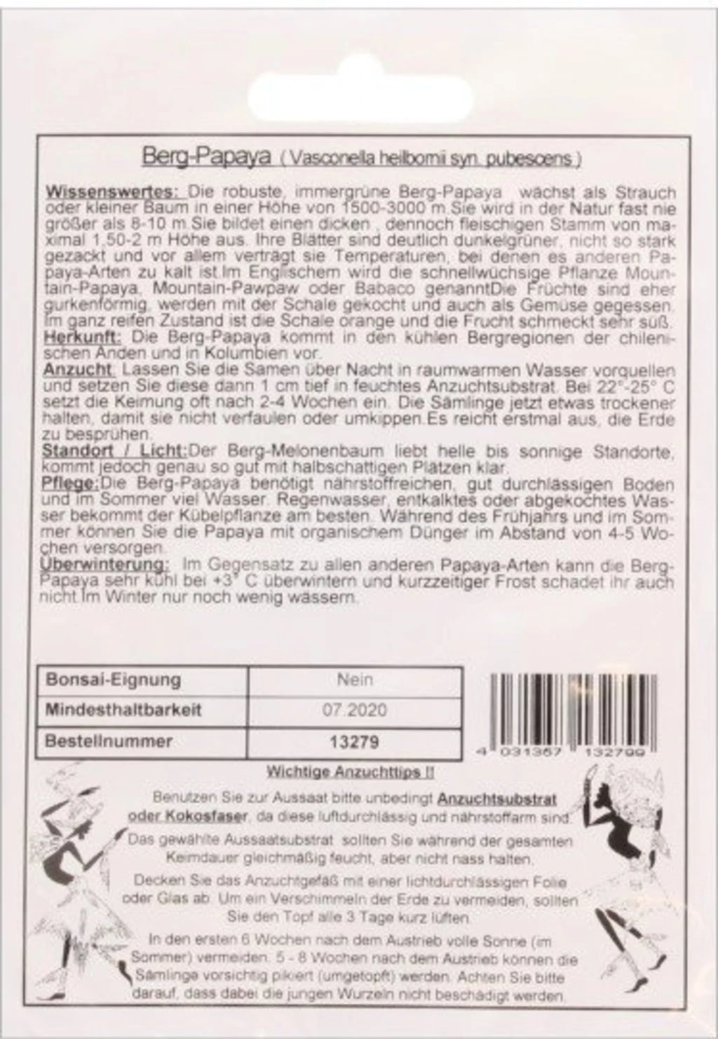 Berg-Papaya, 10 Korn