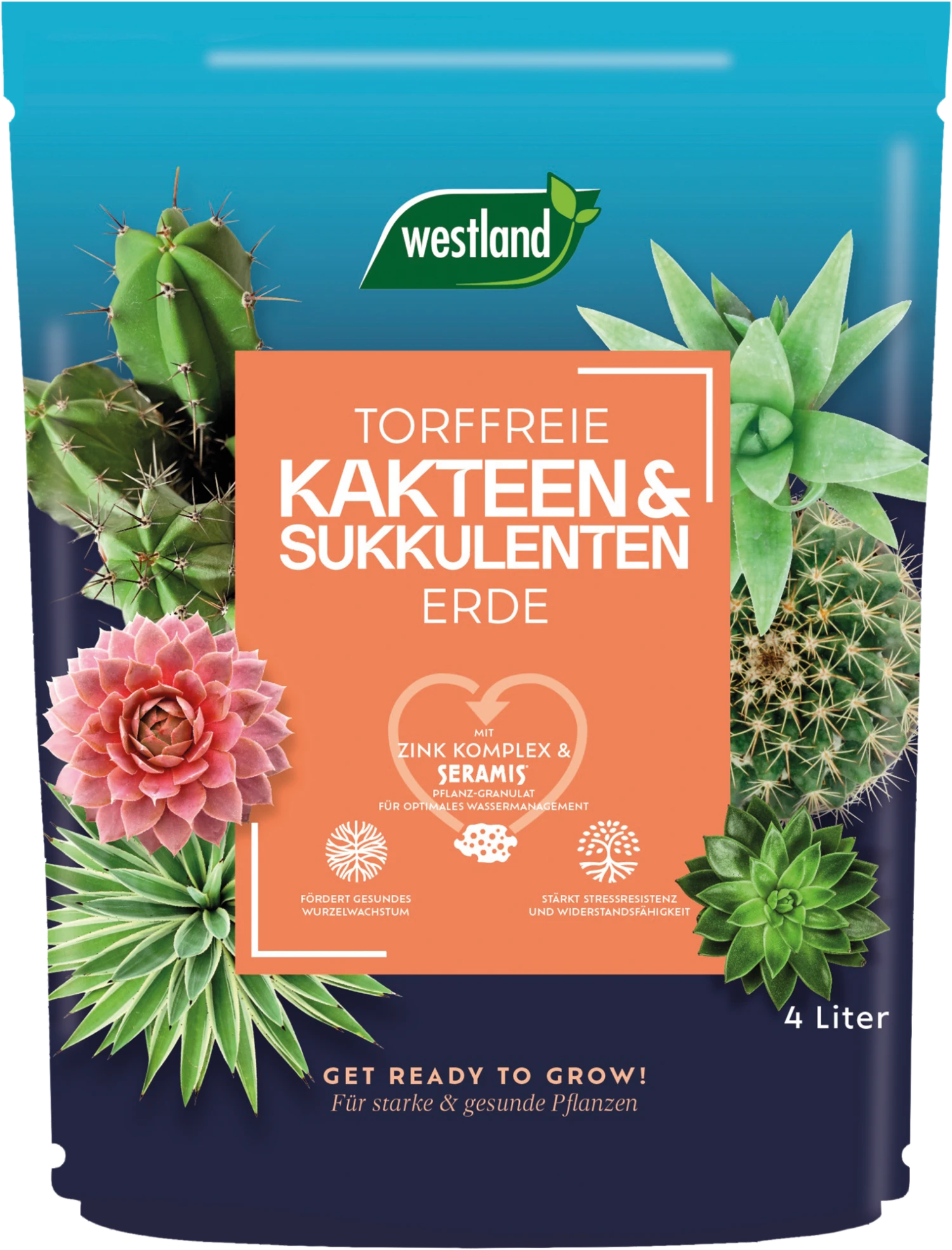 Westland Kakteen & Sukkulenten Erde TF, 4 L